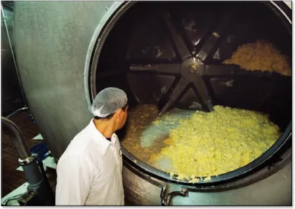 Butter Churn Machine Butter Churning Machine