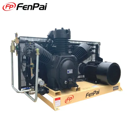 Fenpai 1.6Nm³/min 3.0MPa Industrial Air Compressor Equipment
