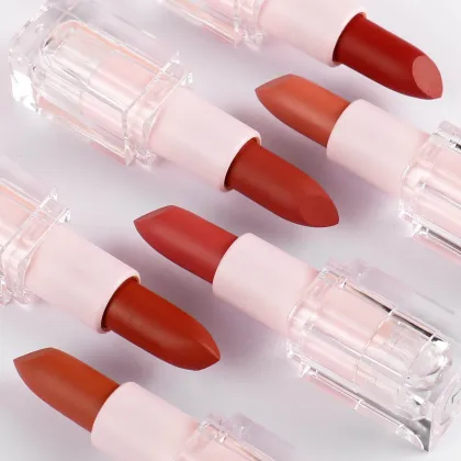 Custom Private Label Vegan Lipstick: Personalized Brown Creamy Lip Makeup in Clear Tube