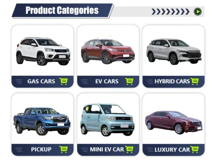New Oil-Electric Hybrid Compact SUV for Sale