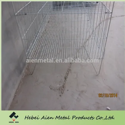wire mesh chick cage for little chick
