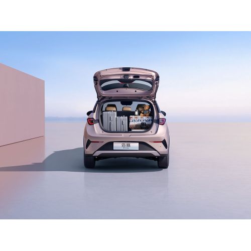 2025 Byd Dolphin 520 км Knight Edition