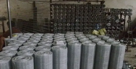 Iso9001 Certification 20 Galvanised Wire Mesh Electro-galvanized
