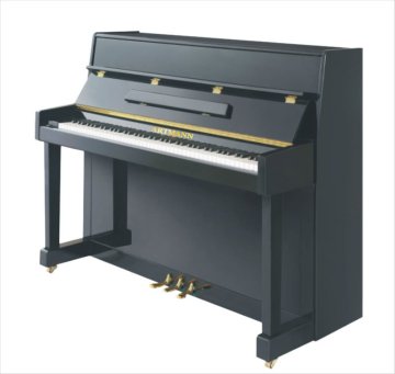 Acoustic Upright piano UP110