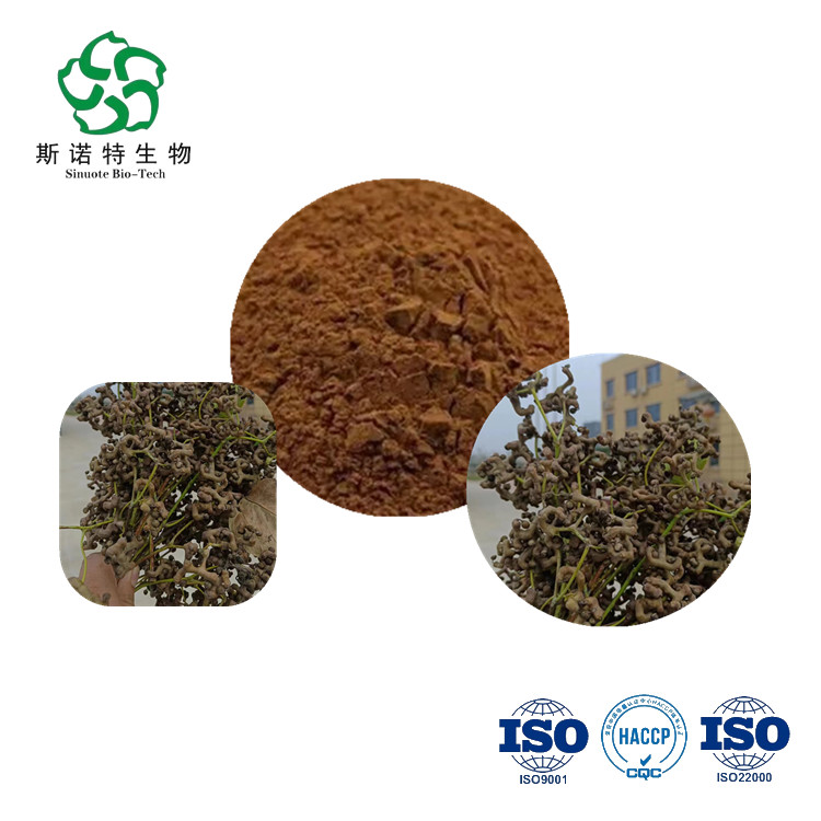 High Quality Semen Hoveniae Extract New Product