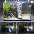 Lampe disque de poisson à poisson submersible multicolore