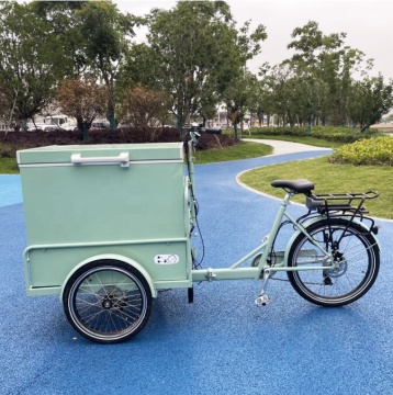Carrello triciclo di gelato elettrico da 36 V 250W con 3 ruote, bici da carico in frigorifero e batteria agli ioni di litio
