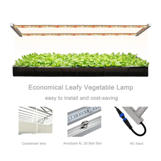 Full Spectrum High Power LED Grow Light Bars for Hydroponic Vertical Farms and NFT DWC Systems