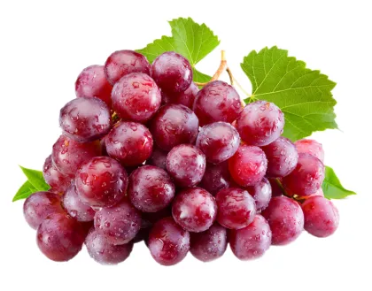Grape Seed Extract powder