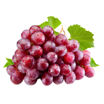 Grape Seed Extract European standard