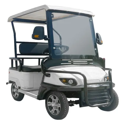 Isv Vehicle Electrique 2024: Mini Electric Golf Cart