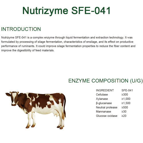 Complex enzymes to promote feed digestion and absorption