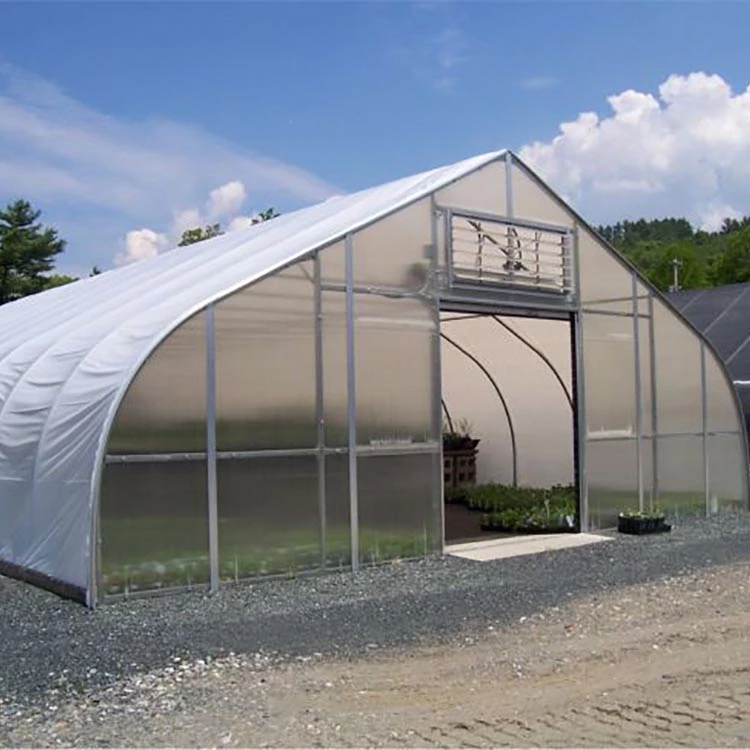 single span greenhouse 20