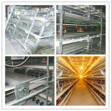 Poultry Equipment of Chcken Cage for Broiler and Layer