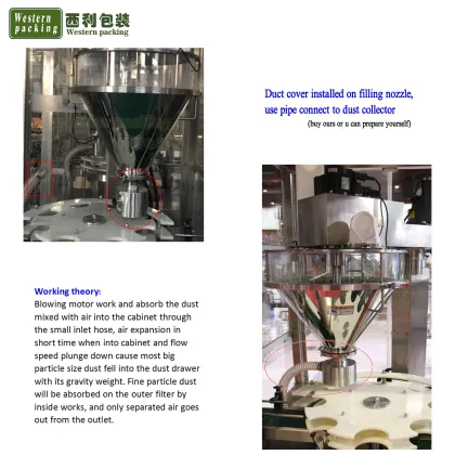 Seasoning and Dry Spice Powder Bottle Filling Machine