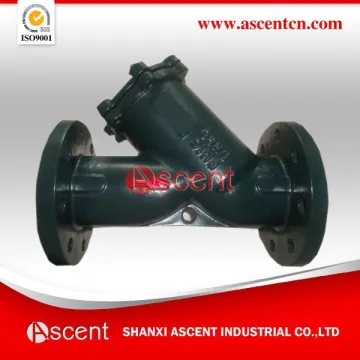 Carbon Steel Y Strainers