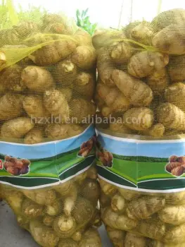 Fresh Taro