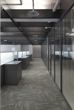 Sleek Steel Partition System with Noise Reduction