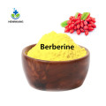 Buy online active ingredients Berberine powder