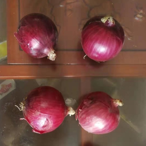 Bawang merah segar berkualiti tinggi