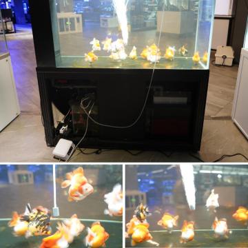 Verstellbare stille Aquariumluftpumpenfische