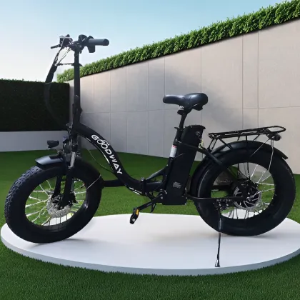 Folding electric bike portable electric bike