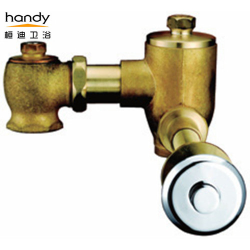 Self Closing Concealed Press Button Flush Valve