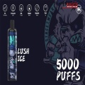 Puffs descartáveis ​​vape energia vape