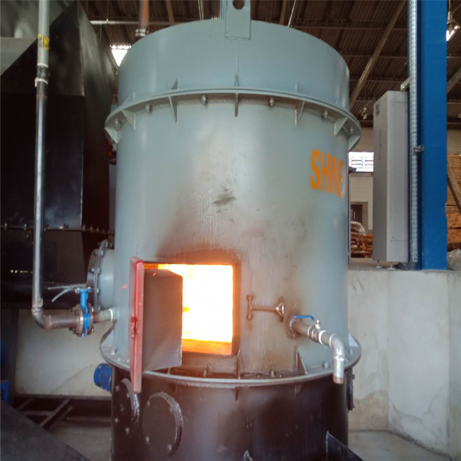 2ton Biomass Burner