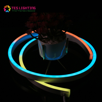 24V LED ضوء النيون للماء IP68 RGB DMX