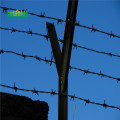 Low Carbon Steel Security Fence Barbed wire