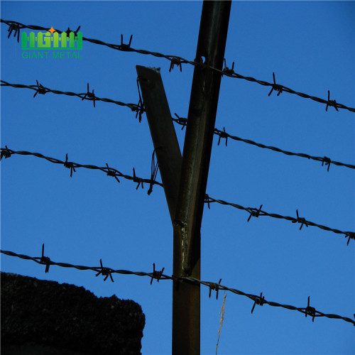 Low Carbon Steel Security Fence Barbed wire