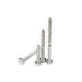 1/4 X 4 Stainless Steel Lag Screws