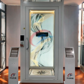 Best price 3-11m indoor vertical home lift