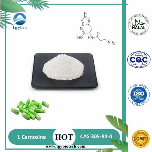  Snow white Powder Anti-Oxidant L Carnosine Powder CAS 305-84-0 L-Carnosine Manufactory