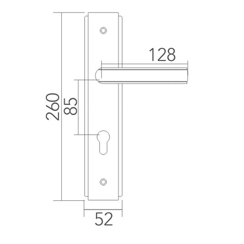 Stainless steel door lock 