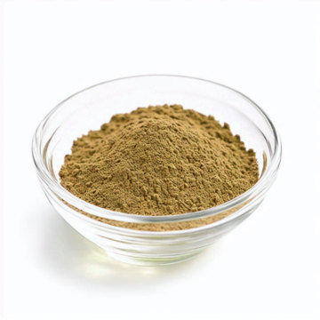 Acanthopanax senticosus Radice Extract Powder