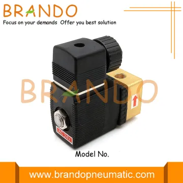 Type 6013 2/2 Way Brass Plunger Solenoid Valve