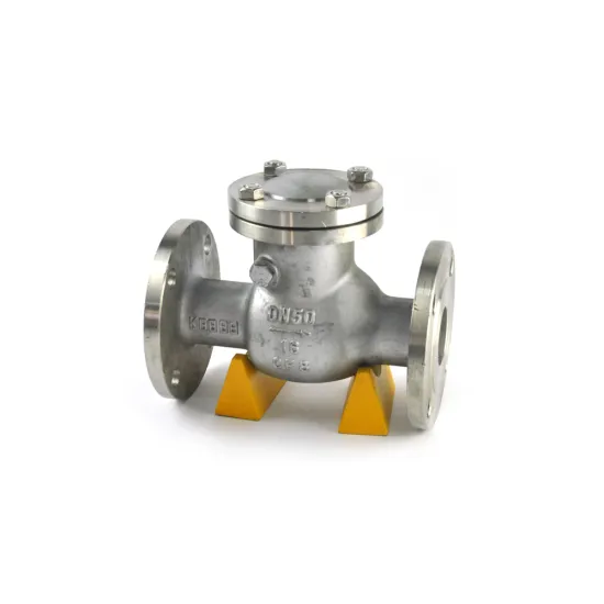 falnged connection stainless steel 200wog y-spring check valve 8mm