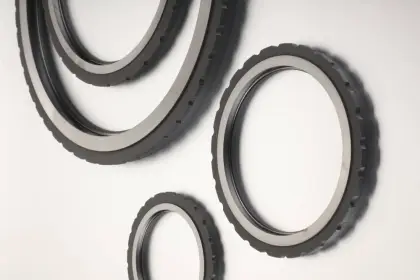 Customized Carbon Graphite Seal Ring