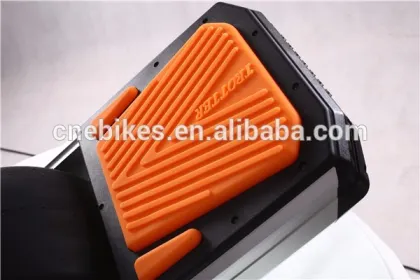 Electric Powered Skateboard 750W Outdoor Sports
