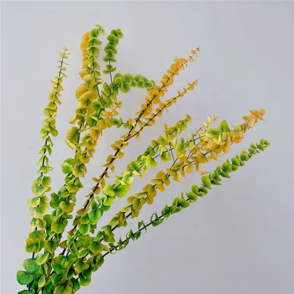 Wholesale Preserved Silver Dollar Leaves for Floral Arrangements