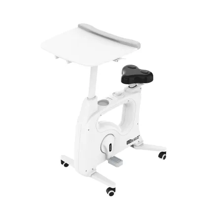 Loctek F209DT-A: Ergonomic Height-Adjustable Desk Side Exercise Bike