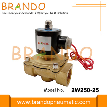 AC220V 2W250-25 1 Inch Brass Water Solenoid Valve