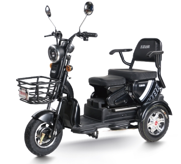 S2 (Leisure Electric Tricycle)