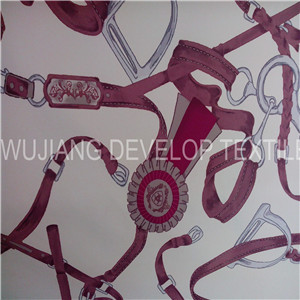 Polyester Pongee Printed Fabric for Garment Fabric (DT2030)