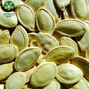 2013 Crop Seeds Pumpkin