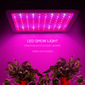 High Quality Led Grow Light Hydroponic Factory
