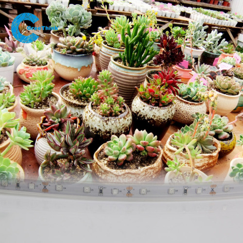 High Quality Indoor Plant Led Grow lights Spectrum