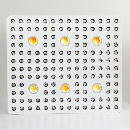 Najtańszy COB LED Grow Light Phlizon z wentylatorem